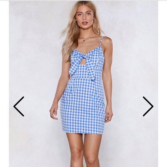 Nasty Gal Dresses & Skirts - Nasty Gal Walk In The Park Blue Gingham Dress, 6